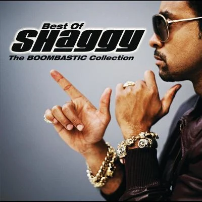 Shaggy/Young Jeezy/Akon/Swae Lee/Pop SmokeThe Boombastic Collection - Best Of Shaggy