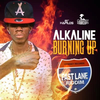 AlkalineBurning Up - Single