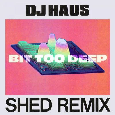 Len Faki/DJ HausBit Too Deep (Shed Remix)