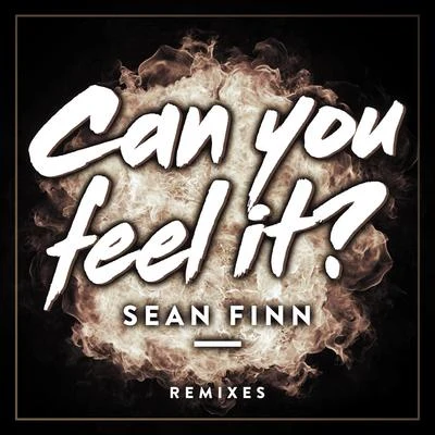 Sean FinnCan You Feel It (Remixes)