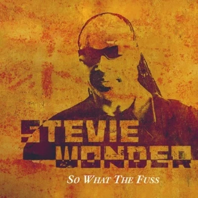 Stevie WonderSo What The Fuss