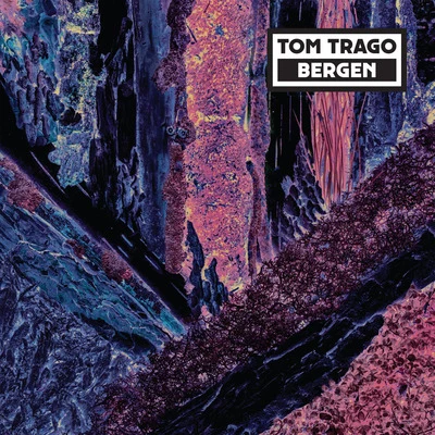 Tom TragoBergen