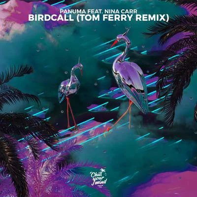 Nina Carr/LUCABirdcall (feat. Nina Carr) [Tom Ferry Remix]