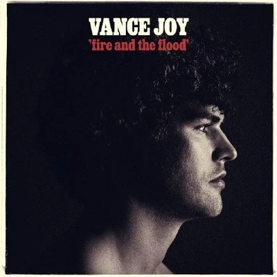 Vance JoyFire and the Flood