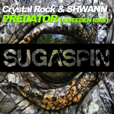 Crystal Rock/ShwannPredator (A****en Remix)