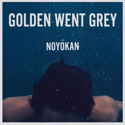 NoyokanGolden Went Grey