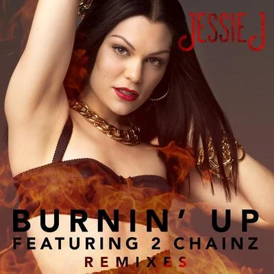 Jessie J/Gary Barlow/Steven Tyler/James Taylor/Miguel/Cee Lo Green/Mary J. Blige/JC Chasez/Smokey Robinson/LedisiBurnin Up (Remixes)