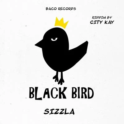 SizzlaThink Wise (Black Bird Riddim by City Kay)