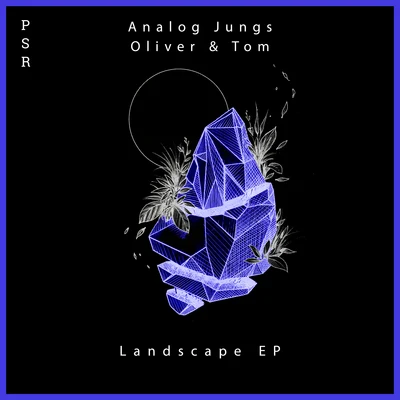 Analog JungsLandscape EP