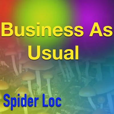 Spider LocBusiness As Usual