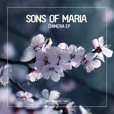 Sons Of Maria/Alex Breitling/Booka Shade/Karin Park/Dessy Slavova/Purple Disco Machine/Nora En Pure/Matvey Emerson/Anas.A/SaccaoChimera EP