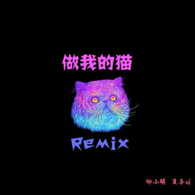 夏子皓/葛雨晴做我的貓（Remix）