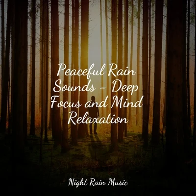 Sleep TightMindfulness Meditation WorldWhite Noise Baby SleepPeaceful Rain Sounds - Deep Focus and Mind Relaxation