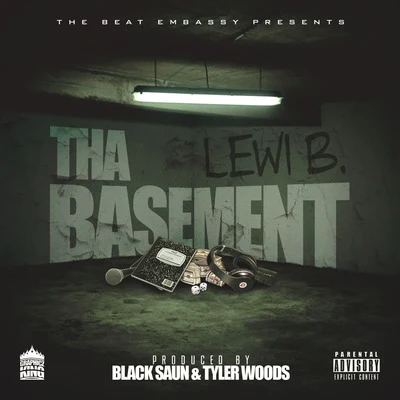 Lewi BTha Basement