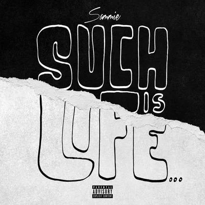 Sammie/Rexx Life Raj/Trevor Jackson/Jacob Latimore/PJ Morton/Kevin Ross/$tupid Young/Sonna Rele/TEC/Voices for ChangeSuch Is Life...