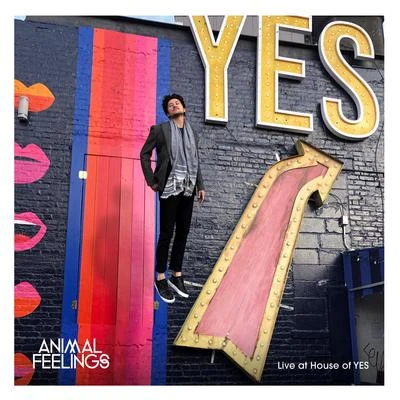 Animal Feelings/Fancy Feelings/Fancy ColorsLive at House of YES