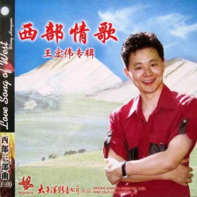 王宏偉西部情歌