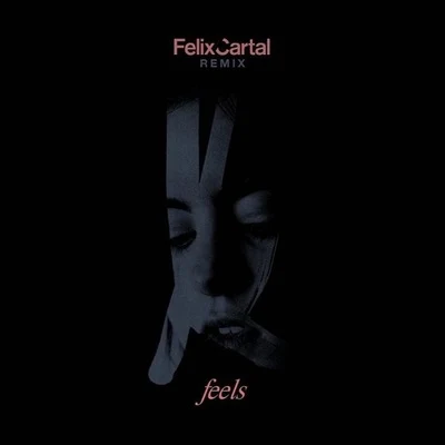 KROY/Felix CartalFeels (Felix Cartal Remix)