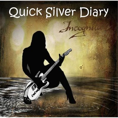 IncognitaQuick Silver Diary