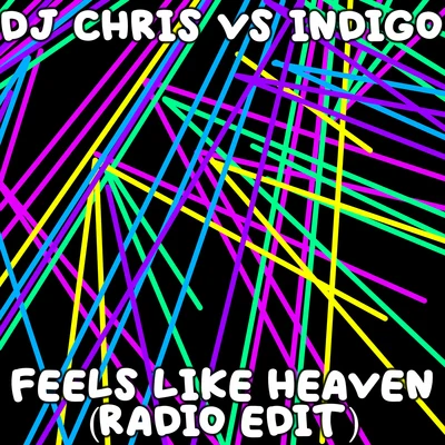 IndiGoFeels Like Heaven (Radio Edit)