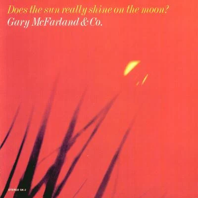 Gary McFarlandDoes The Sun Really Shine On The Moon