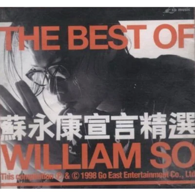 蘇永康 (William So)宣言精選