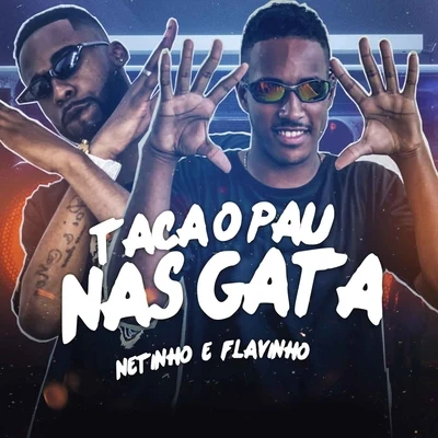 Mc Flavinho/Mc DrickaTaca o Pau nas Gata (Brega Funk)