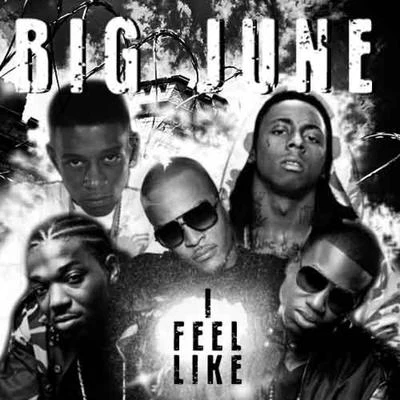 Big JuneRoyal TI Feel Like - Single