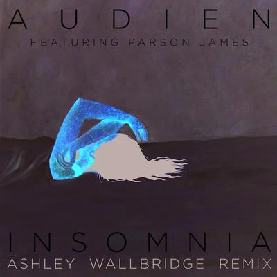 AudienInsomnia (Ashley Wallbridge Remix)