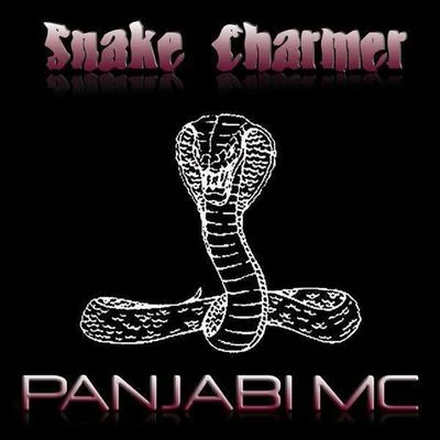 Panjabi MCSnake Charmer (Dance Remix)