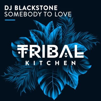 DJ BlackstoneSomebody to Love (Radio Edits)