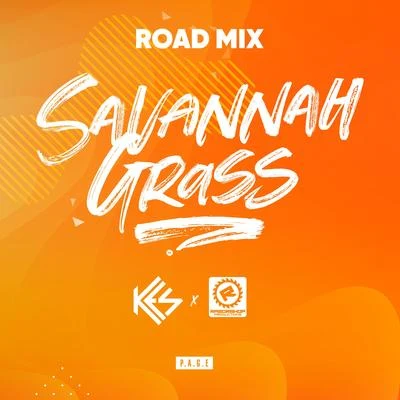 DJ Private Ryan/KESSavannah Grass (Razorshop Road Mix)