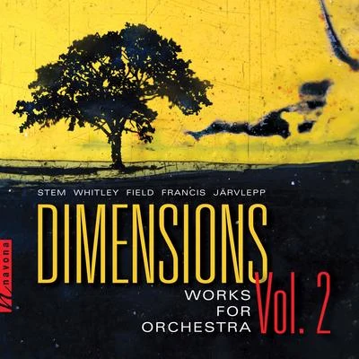 Petr Vronsky/Gheorghe Zamfir/Lawrence Foster/English Chamber Orchestra/Studio orchestra/James Judd/Monte Carlo Philharmonic Orchestra/Harry van Hoof/Harry van Hoof Orkest/Orchestre du Théatre National de PragueDimensions, Vol. 2