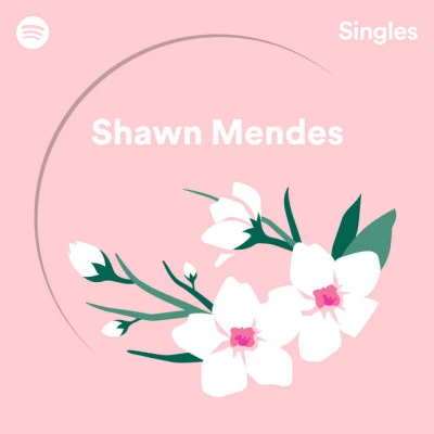 Shawn MendesZeddSpotify Singles