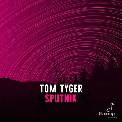 Tom Tyger/Madwill/Tom Staar/Zell HanssenSputnik (Extended Mix)