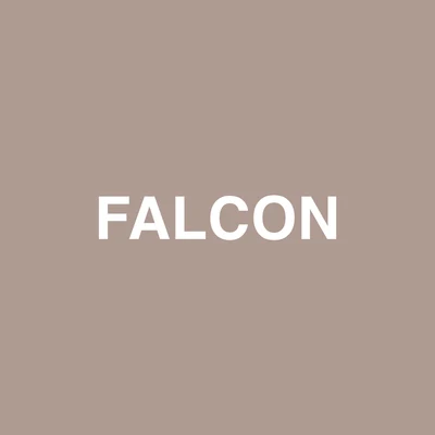 JadenFalcon