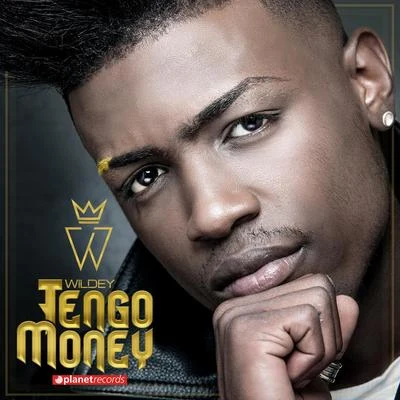 Wildey/Yomil y El DanyTengo Money