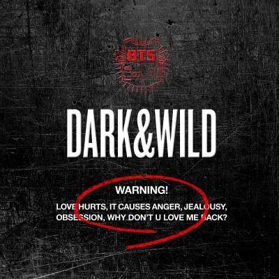 BTSBlock BDARK&WILD