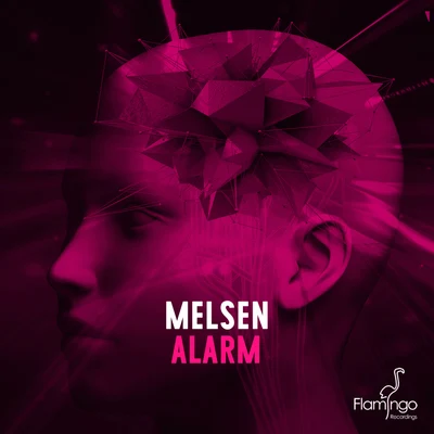 MelsenAlarm (Extended Mix)