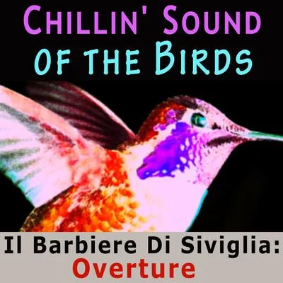 Tbilisi Symphony Orchestra/Jansug Kakhidze/Eliso Bolkvadze/Nodar Gabunia/貝多芬/NEW PHILHARMONIA ORCHESTRA/Alexander TitovChillin Sound of Birds