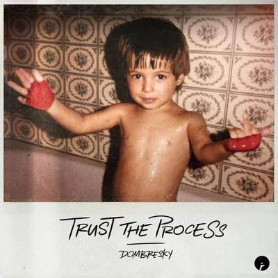 DombreskyTrust The Process