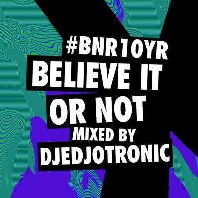 Djedjotronic/Boys NoizeBNR10YR Believe It or Not Mix