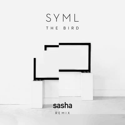 SYMLThe Bird (Sasha Remix)