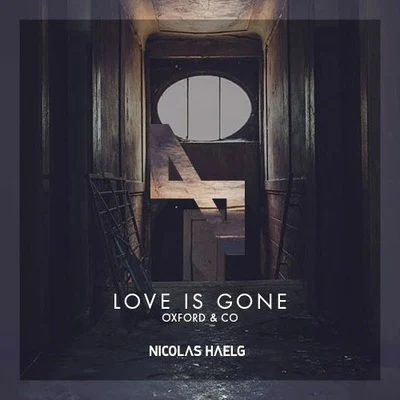 Nicolas Haelg/Vijay & Sofia ZlatkoLove Is Gone (Nicolas Haelg Remix)