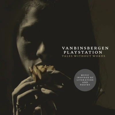 VanBinsbergen Playstation