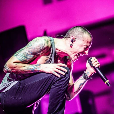 Chester BenningtonRoc BandMike ShinodaBurn It Down