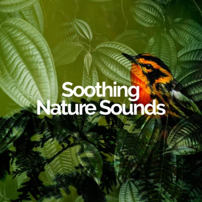 Soothing Nature Sounds