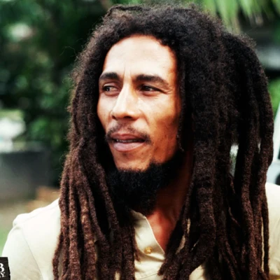 Bob MarleyRebel's Hop