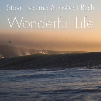 Steve SeranoRobert RushWonderful Life (Extended Mix)