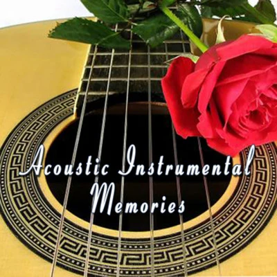 The Acoustic Guitar Troubadours